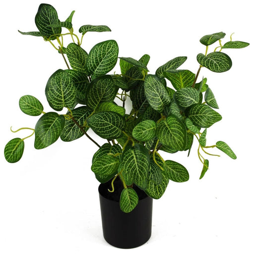 40cm Variegated Pothos Artificial Plant - Green4Life