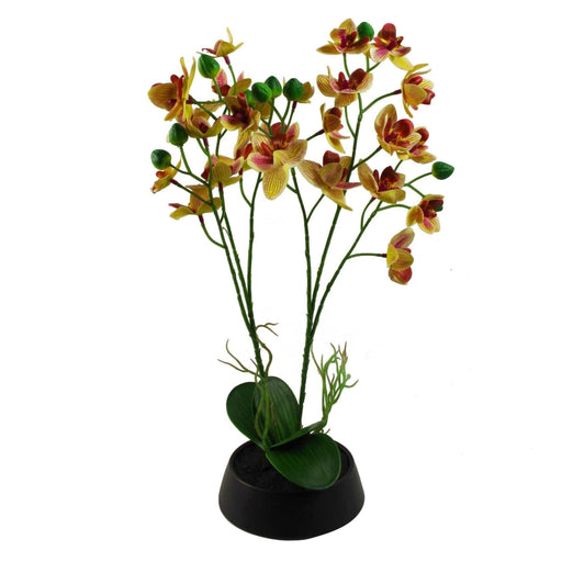 43cm Pink Yellow Artificial Orchid in Ceramic Planter - Green4Life