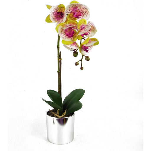 46cm Harlequin Pink Artificial Orchid with Silver Pot - Green4Life