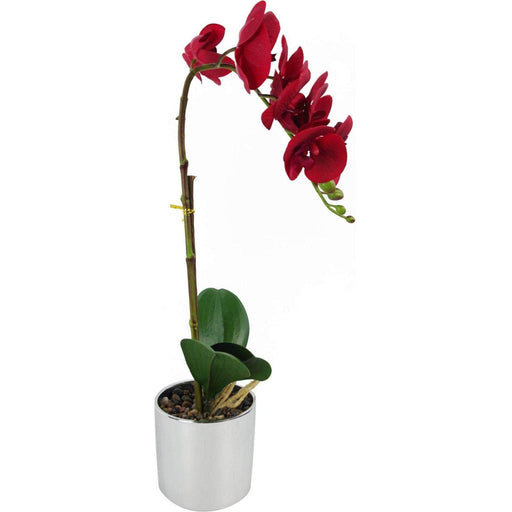 46cm Red Artificial Orchid with Silver Pot - Green4Life
