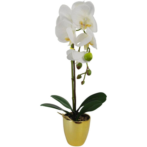 46cm White Artificial Orchid - Gold Pot - Green4Life