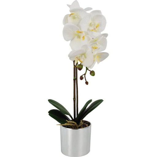 46cm White Artificial Orchid with Silver Pot - Green4Life