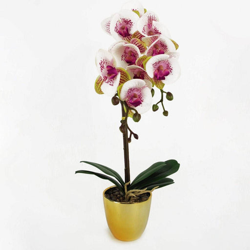 48cm Pink Harlequin Artificial Orchid with Gold Pot - Green4Life