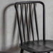 Set of 2 Hampton Dining Chairs - Black (Premium Collection) - Green4Life