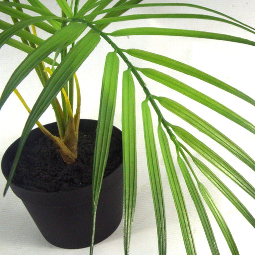 50cm Artificial Palm Tree Plant - Compact Shape - Green4Life