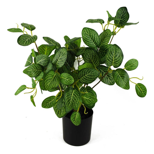 50cm Artificial Pothos Plant With Ceramic Planter And Stand - Green4Life