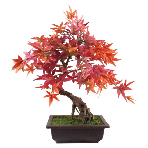50cm Artificial Red Maple Bonsai Tree - Green4Life