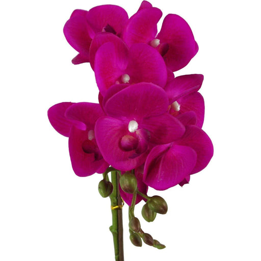 50cm Dark Pink Artificial Phalaenopsis Orchid –  Silver - Green4Life