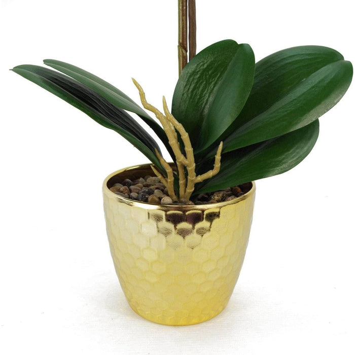 50cm Dark Red Artificial Phalaenopsis Orchid with Gold Pot - Green4Life