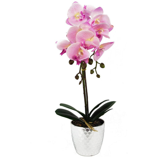 50cm Light Pink Phalaenopsis Artificial Orchid  –  Silver Pot - Green4Life