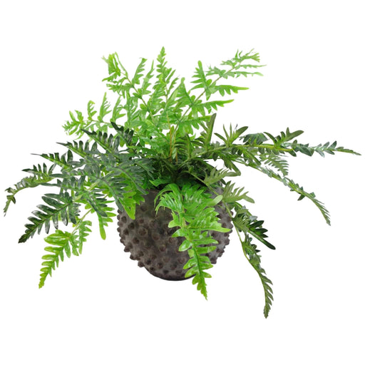 50cm Luxury Artificial Evergreen Fern Plant - Green4Life