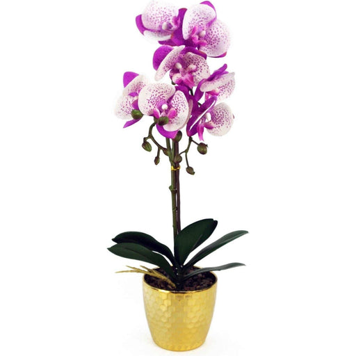 50cm Purple and White Artificial Phalaenopsis Orchid with Gold Pot - Green4Life