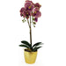 50cm Purple Leopard Artificial Phalaenopsis Orchid with Gold Pot - Green4Life