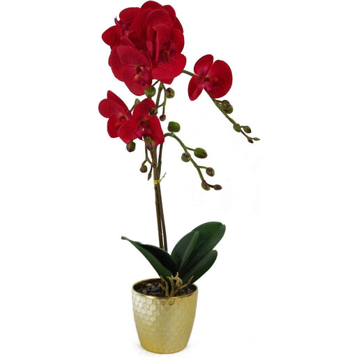 50cm Red Leopard Phalaenopsis Artificial Orchid - Gold Pot - Green4Life