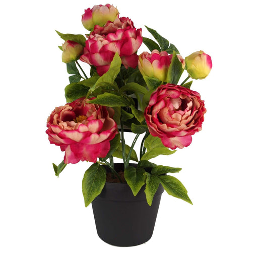 52cm Pink Artificial Peony Plant - Green4Life