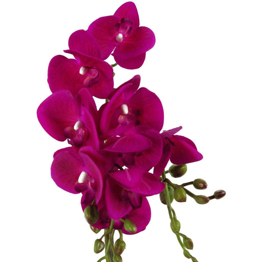 54cm Dark Pink Artificial Orchid with Gold Pot - Green4Life