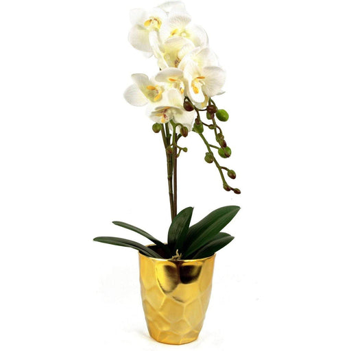 54cm White Artificial Orchid with Gold Pot - Green4Life