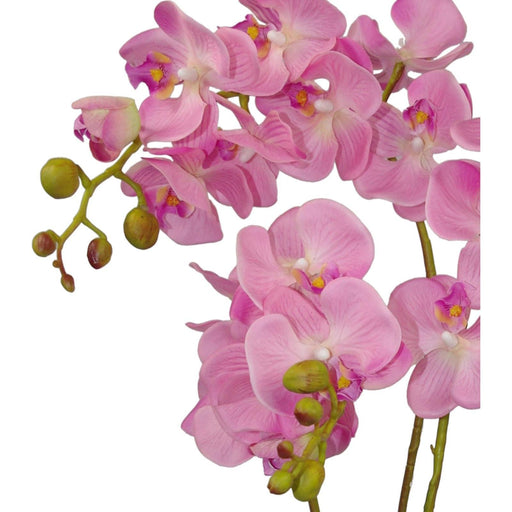 60cm Artificial Luxury Orchid -Triple Stem - Pink Realistic Plant - Green4Life