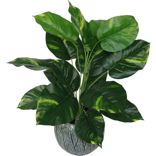 60cm Devil’s Ivy (Scindapsus Aureus) Artificial Plant - Green4Life