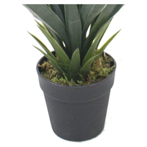 60cm Green Agave Succulent Yukka Style Artificial Plant - Green4Life