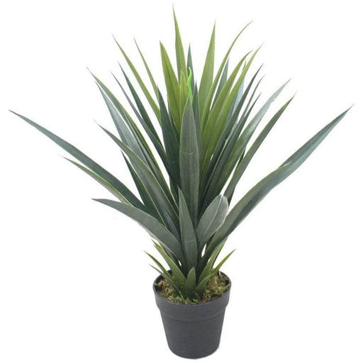 60cm Green Agave Succulent Yukka Style Artificial Plant - Green4Life