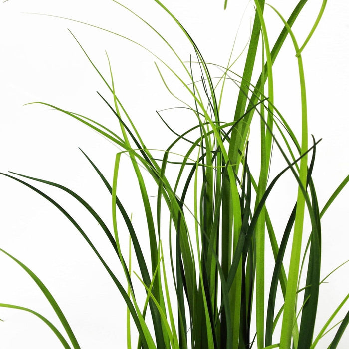 60cm Lemongrass Grass Artificial Plant - Green4Life