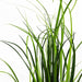 60cm Lemongrass Grass Artificial Plant - Green4Life