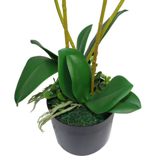 60cm Pink Artificial Luxury Orchid - Green4Life