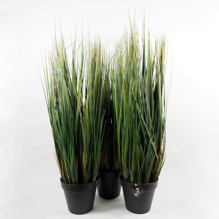 60cm Potted Grass Artificial Plant - Green4Life