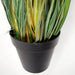 60cm Potted Grass Artificial Plant - Green4Life