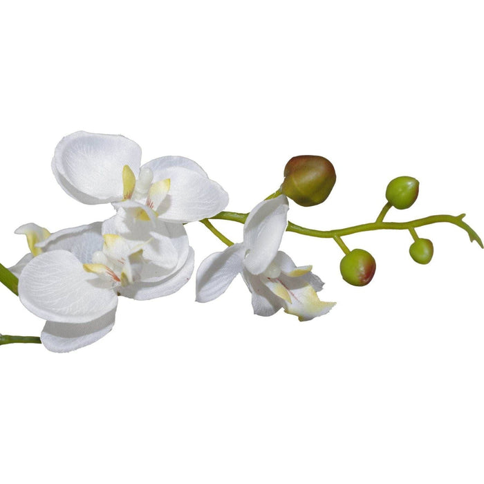 60cm White Artificial Luxury Orchid - Green4Life