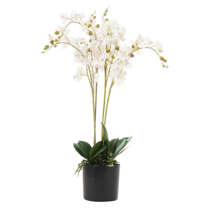 60cm White Artificial Luxury Orchid - Green4Life