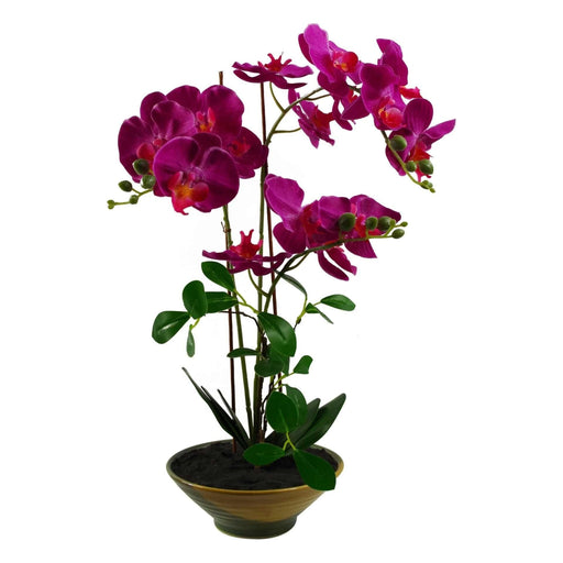 65cm Artificial Orchid Dark Pink in Glazed Planter - Green4Life
