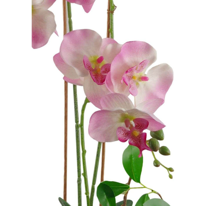 65cm Light Pink Artificial Orchid in Glazed Planter - Green4Life