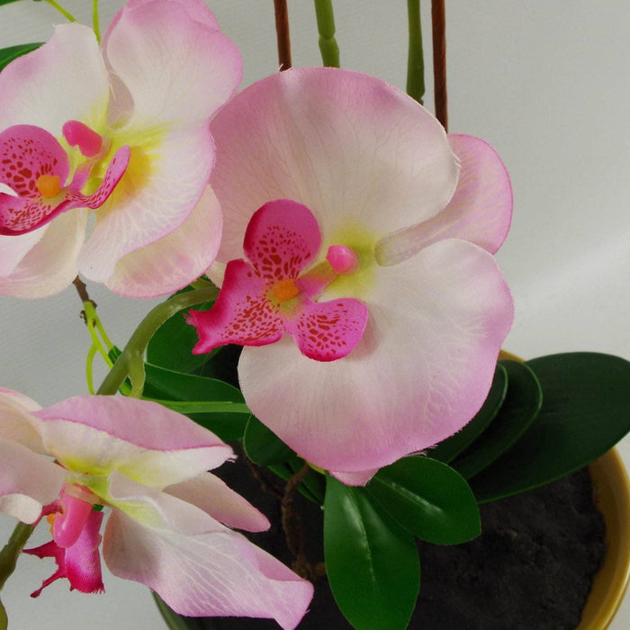 65cm Light Pink Artificial Orchid in Glazed Planter - Green4Life