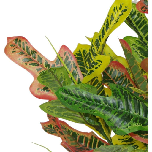 65cm Multicoloured Codiaeum Artificial House Plant - Green4Life