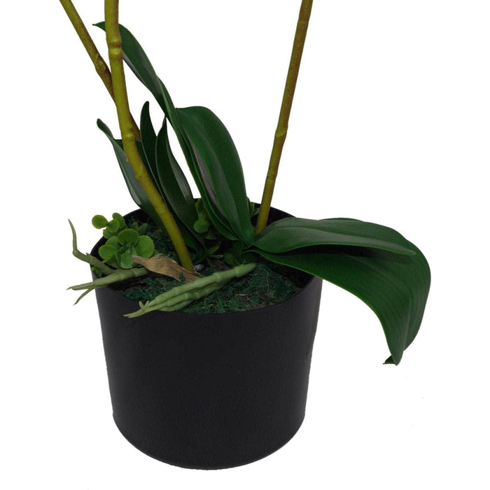 65cm Soft White Luxury Artificial Orchid – 3 Stems - Green4Life