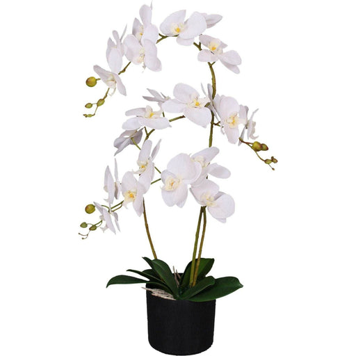 65cm Soft White Luxury Artificial Orchid – 3 Stems - Green4Life