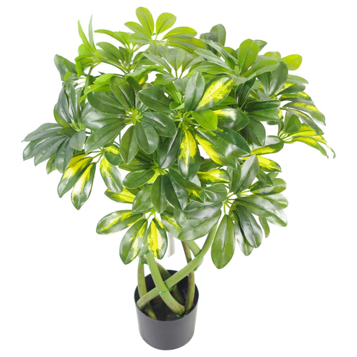 70cm Artificial Plant Bonsai Bush Twisted Stem Golden Capella - Green4Life