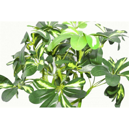 70cm Artificial Twisted Stem Modern Arboricola Artificial Plant Bonsai Bush - Green4Life
