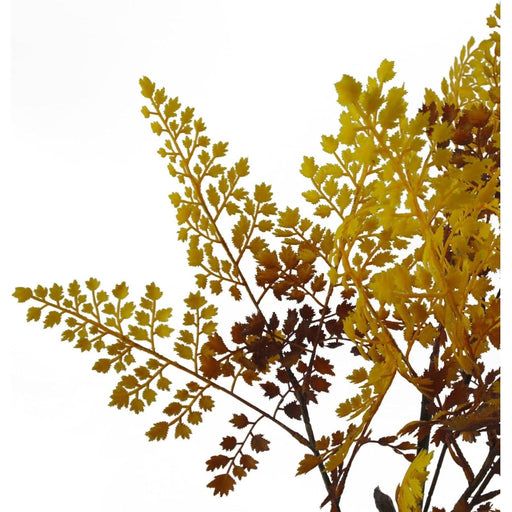 70cm Autumn Gold Fern Tree Artificial Plant - Green4Life