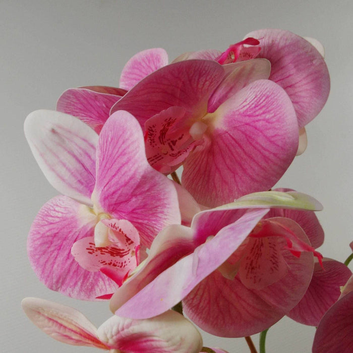 70cm Light Pink Artificial Orchid - Green4Life