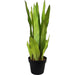 70cm Sansevieria Moonshine Artificial Plant - Green4Life