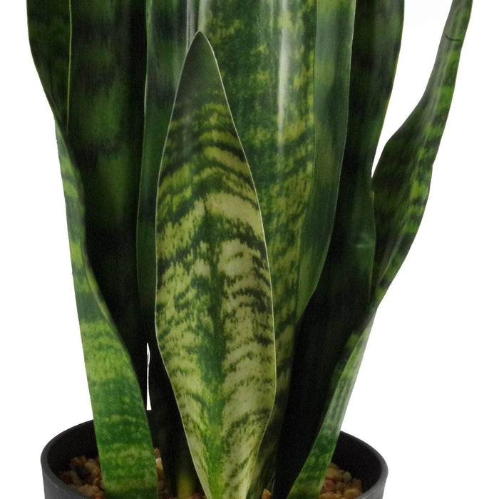 70cm Sansevieria Zeylanica Artificial Plant - Green4Life