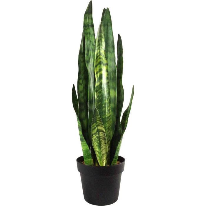 70cm Sansevieria Zeylanica Artificial Plant - Green4Life