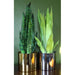 70cm Sansevieria Zeylanica Artificial Plant - Green4Life