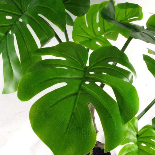70cm Twisted Stem Monstera Artificial Plant - Green4Life
