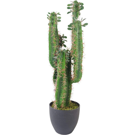 75cm Premium Artificial Cactus with pot - Green4Life