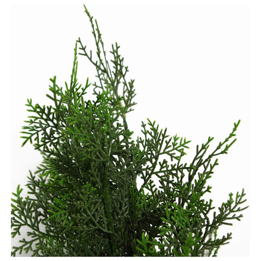 90cm Artificial Cypress Topiary - Green4Life