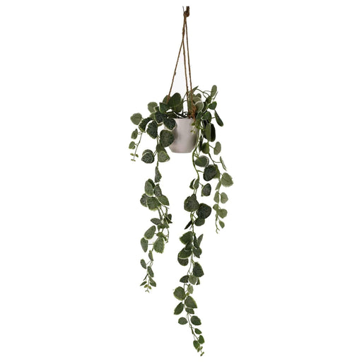90cm Artificial Potted Hanging Trailing Green Plant - String of Hearts - Green4Life
